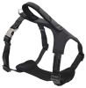 collPet Life 'Geo-prene' 2-in-1 Shock Absorbing Neoprene Padded Reflective Dog Leash and Harness